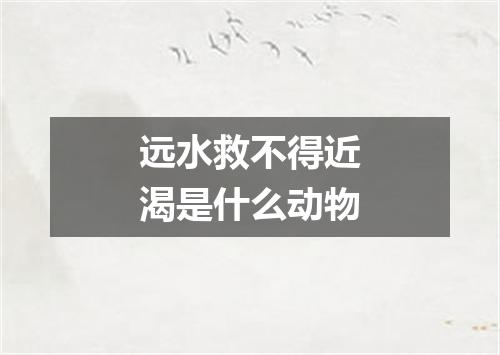 远水救不得近渴是什么动物