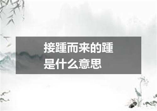 接踵而来的踵是什么意思