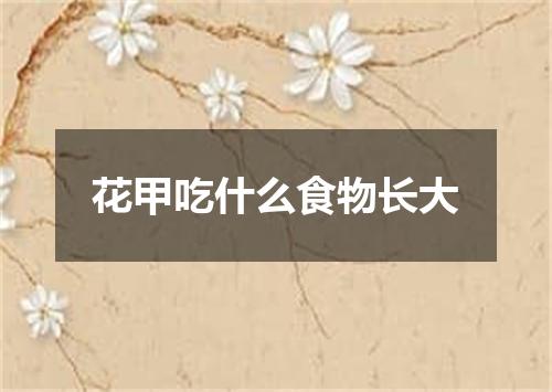 花甲吃什么食物长大