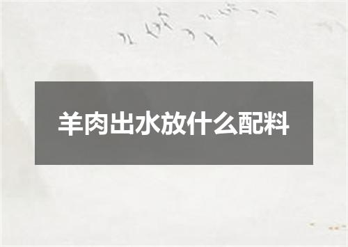 羊肉出水放什么配料