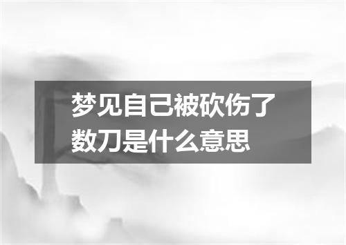 梦见自己被砍伤了数刀是什么意思