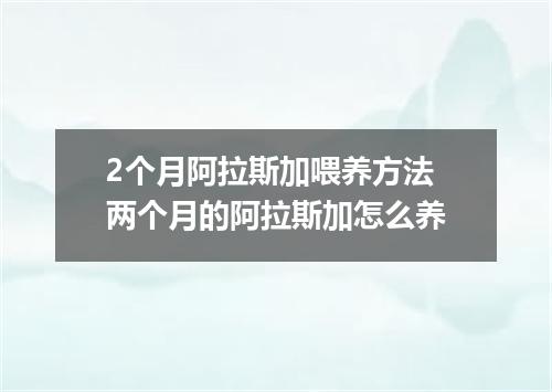 2个月阿拉斯加喂养方法 两个月的阿拉斯加怎么养