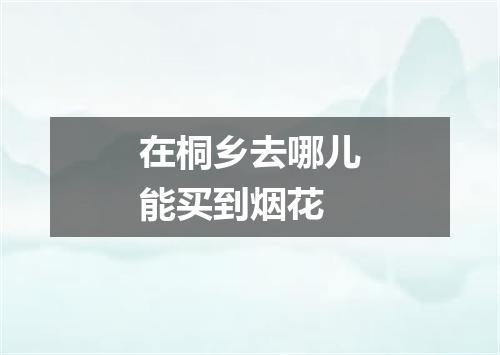 在桐乡去哪儿能买到烟花