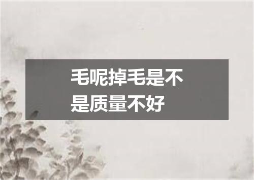 毛呢掉毛是不是质量不好