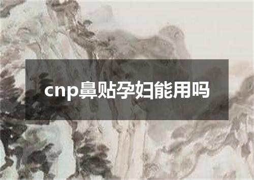 cnp鼻贴孕妇能用吗