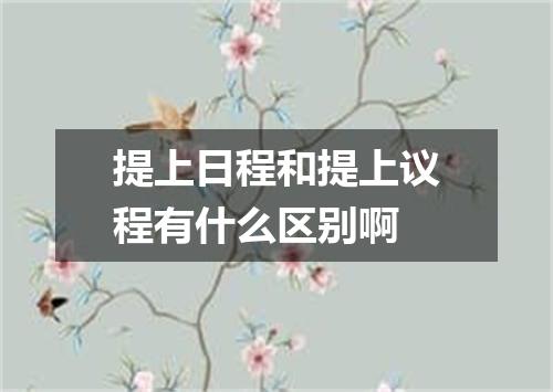 提上日程和提上议程有什么区别啊