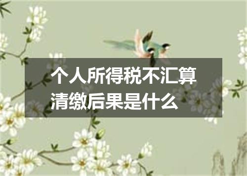 个人所得税不汇算清缴后果是什么