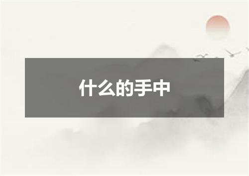 什么的手中