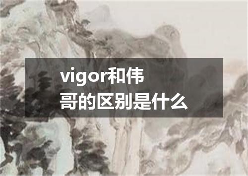 vigor和伟哥的区别是什么