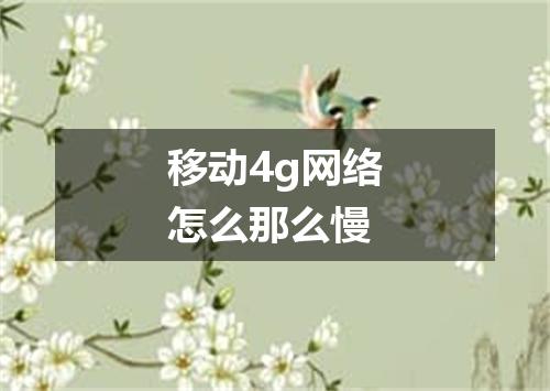 移动4g网络怎么那么慢