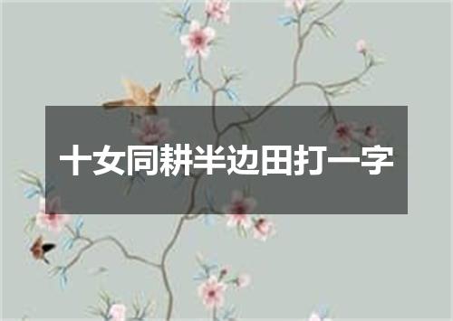 十女同耕半边田打一字