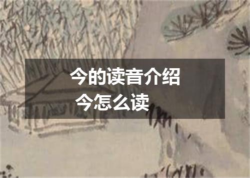 今的读音介绍 今怎么读