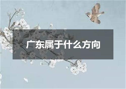 广东属于什么方向