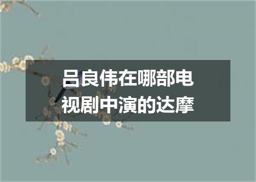 吕良伟在哪部电视剧中演的达摩