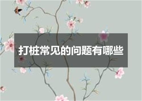 打桩常见的问题有哪些