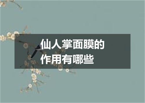 仙人掌面膜的作用有哪些