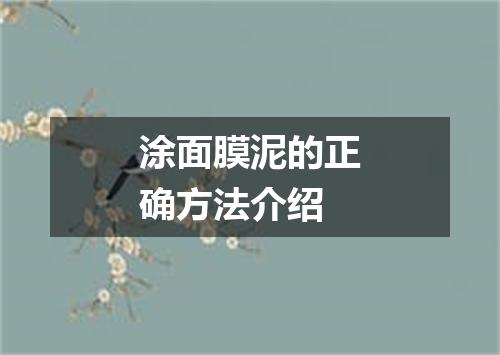 涂面膜泥的正确方法介绍