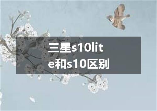 三星s10lite和s10区别