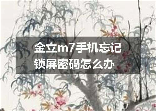 金立m7手机忘记锁屏密码怎么办