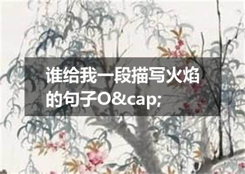 谁给我一段描写火焰的句子O&cap;