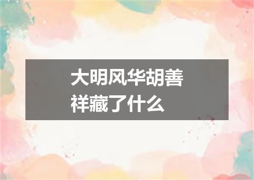 大明风华胡善祥藏了什么