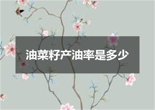 油菜籽产油率是多少