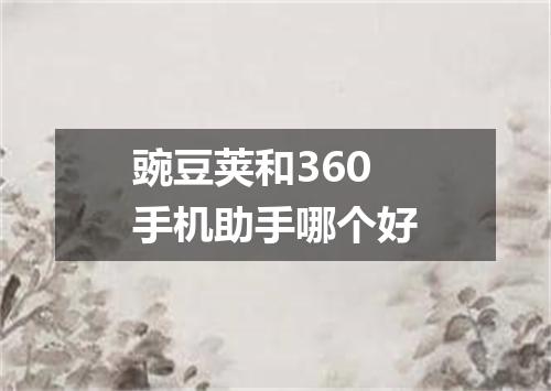 豌豆荚和360手机助手哪个好