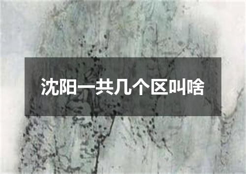 沈阳一共几个区叫啥