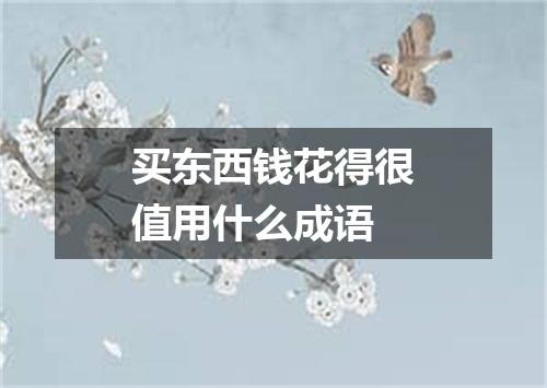 买东西钱花得很值用什么成语