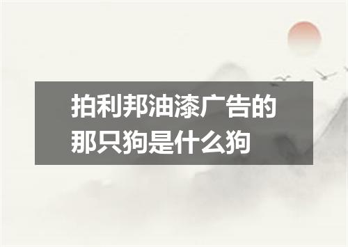 拍利邦油漆广告的那只狗是什么狗