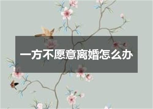 一方不愿意离婚怎么办