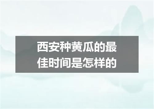 西安种黄瓜的最佳时间是怎样的