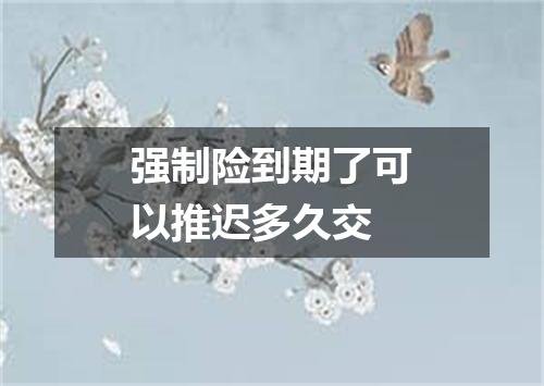 强制险到期了可以推迟多久交