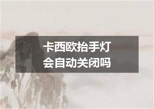 卡西欧抬手灯会自动关闭吗