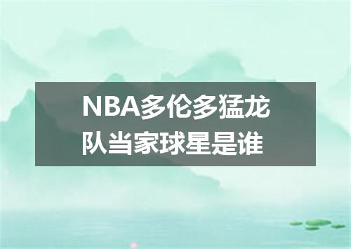 NBA多伦多猛龙队当家球星是谁