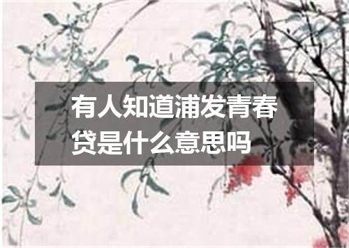 有人知道浦发青春贷是什么意思吗