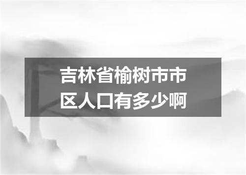 吉林省榆树市市区人口有多少啊
