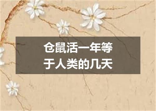 仓鼠活一年等于人类的几天