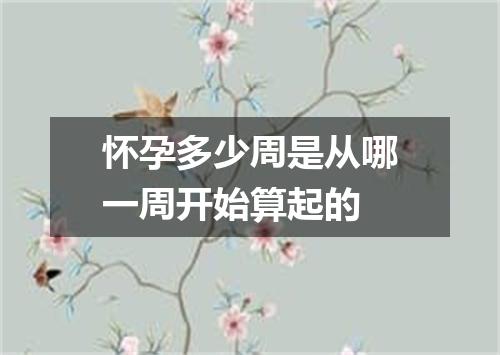 怀孕多少周是从哪一周开始算起的