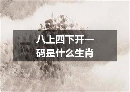 八上四下开一码是什么生肖