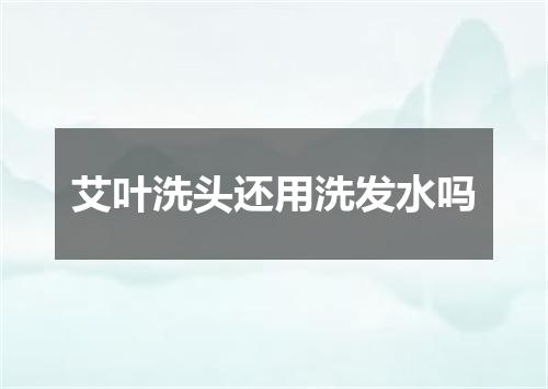 艾叶洗头还用洗发水吗