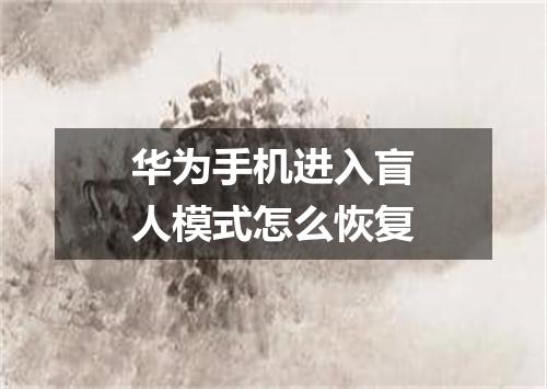 华为手机进入盲人模式怎么恢复