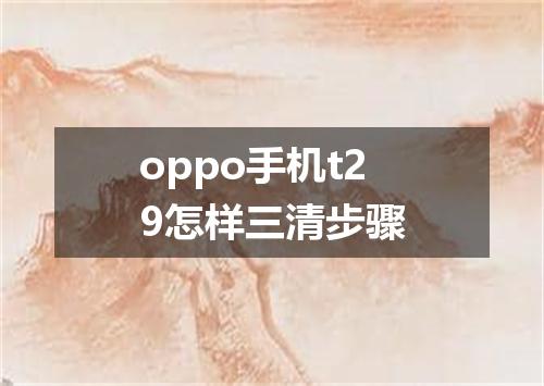 oppo手机t29怎样三清步骤