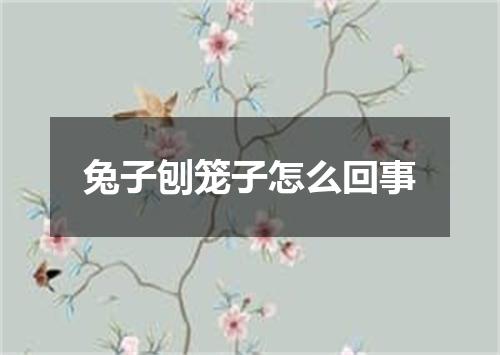 兔子刨笼子怎么回事