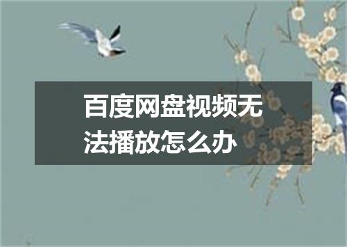 百度网盘视频无法播放怎么办