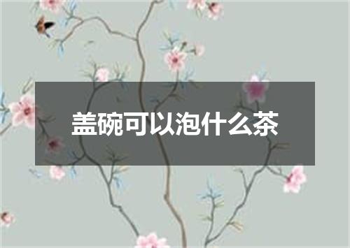 盖碗可以泡什么茶