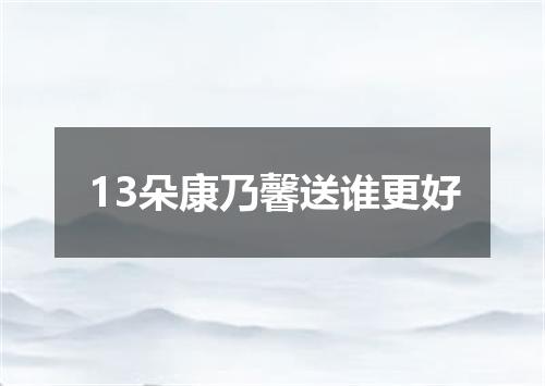 13朵康乃馨送谁更好