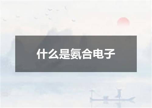 什么是氨合电子