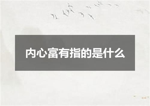 内心富有指的是什么