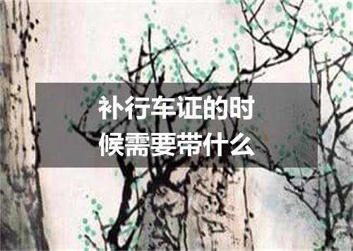 补行车证的时候需要带什么